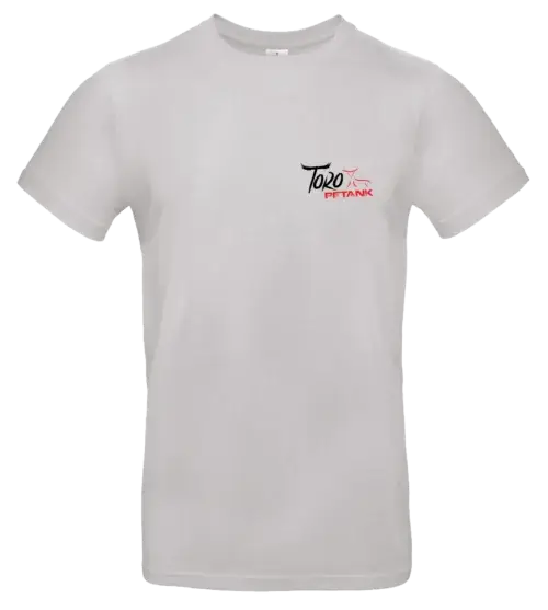 Tee shirt gris